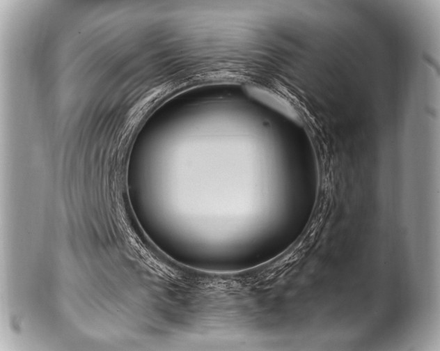 X0000102310193200807251447