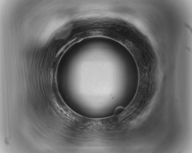 X0000102310194200807251447