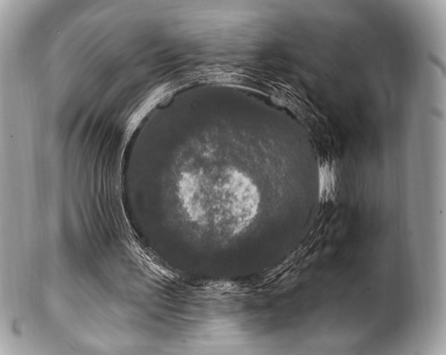 X0000102310195200807251447