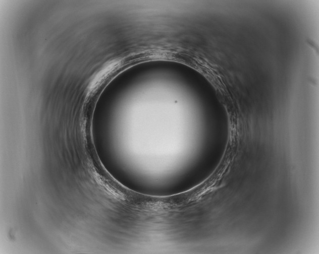 X0000102310197200807251447