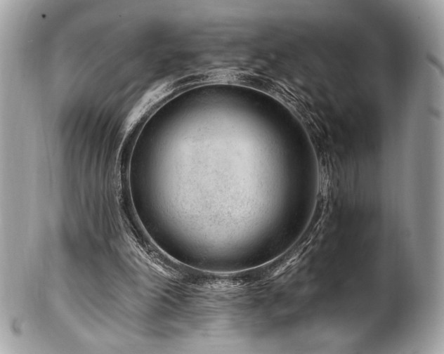 X0000102310198200807251447