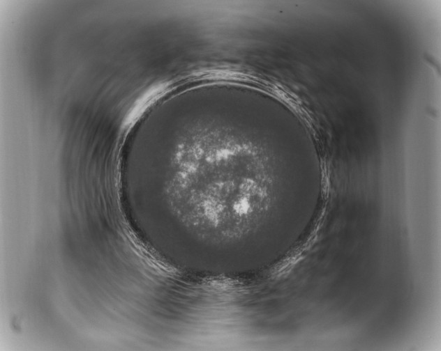 X0000102310199200807251447