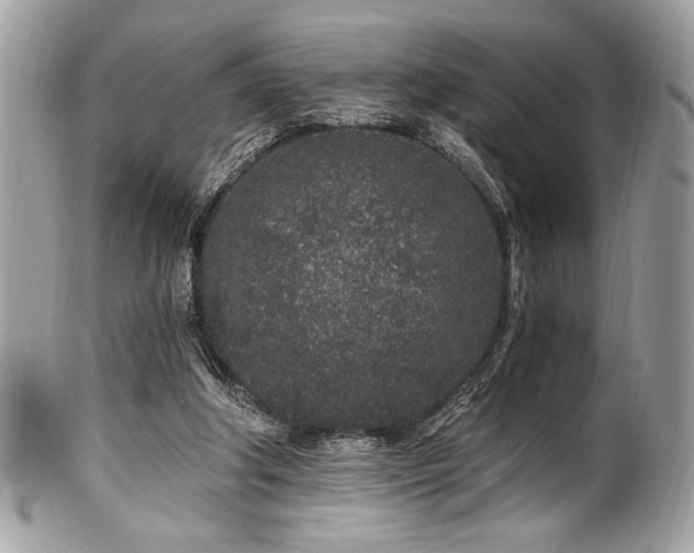 X0000102310202200807251447