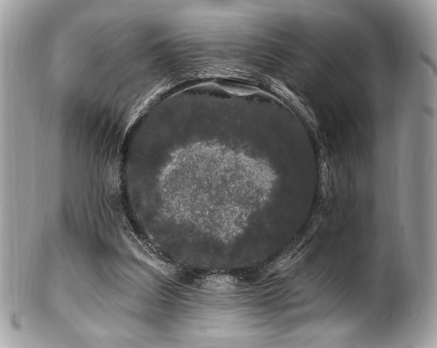 X0000102310203200807251447