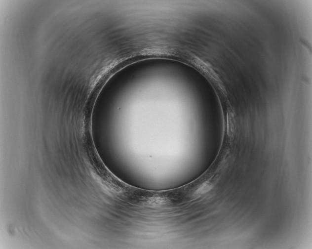 X0000102310204200807251447