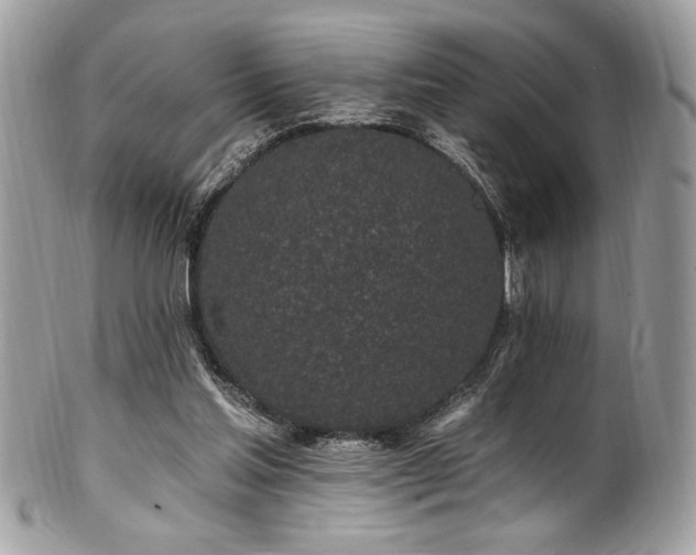 X0000102310205200807251447