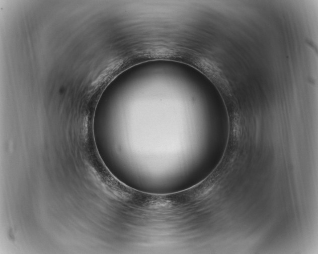 X0000102310206200807251447