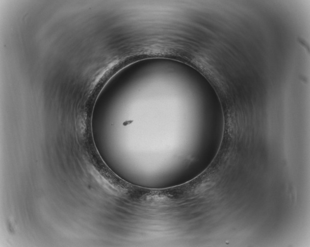 X0000102310208200807251447