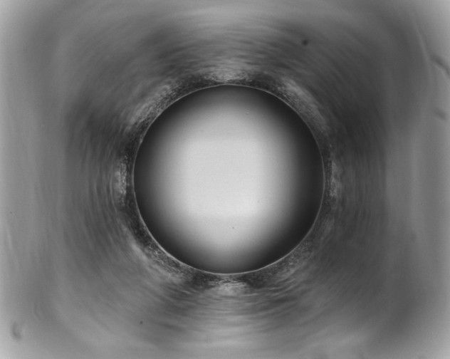 X0000102310210200807251447