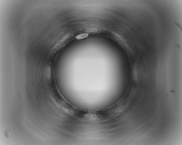 X0000102310211200807251447