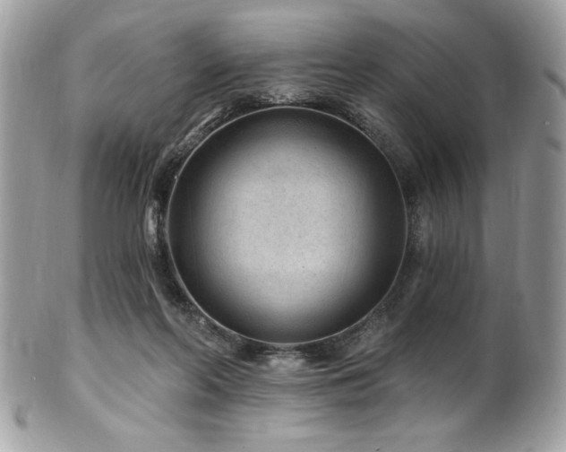 X0000102310214200807251447