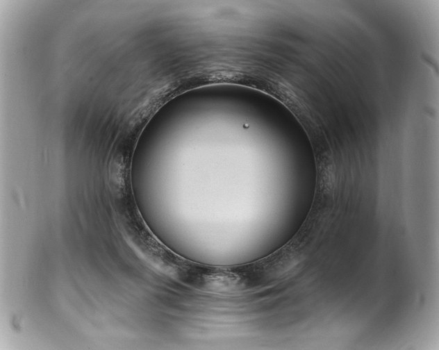 X0000102310215200807251447