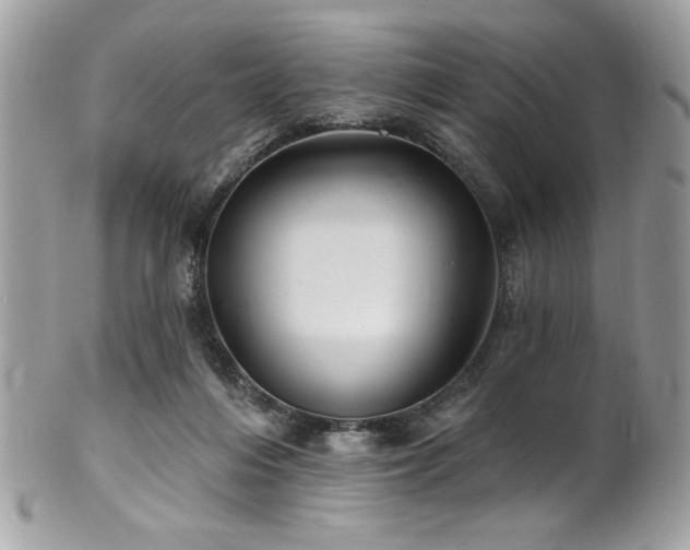 X0000102310216200807251447