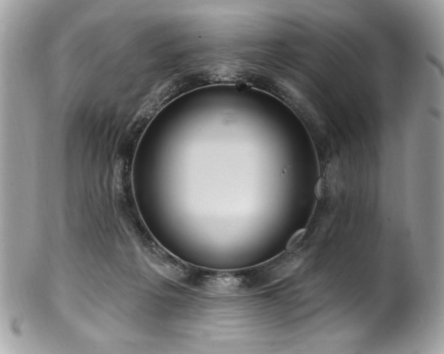 X0000102310217200807251447