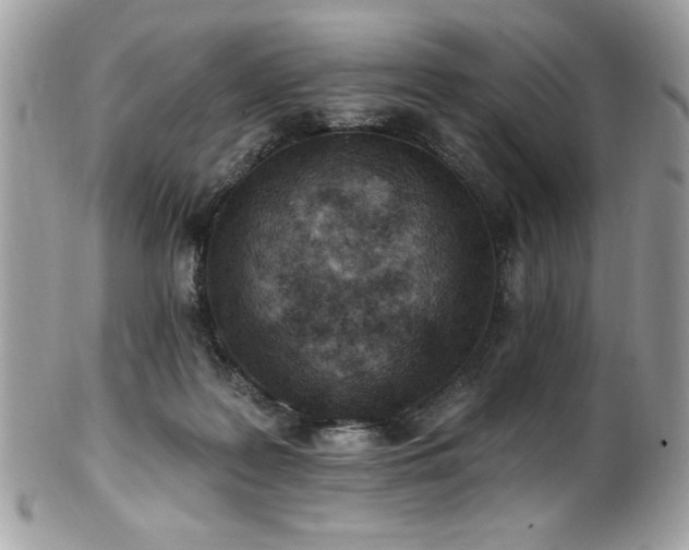 X0000102310219200807251447