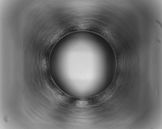 X0000102310220200807251447