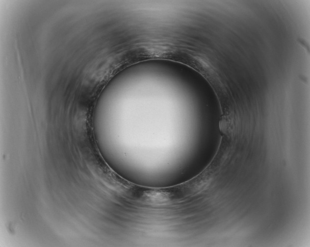 X0000102310221200807251447