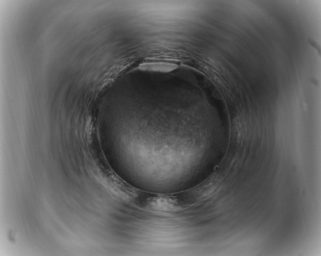 X0000102310223200807251447