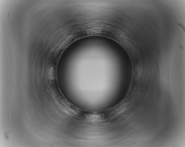 X0000102310224200807251447