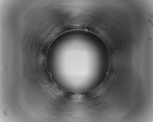 X0000102310225200807251447