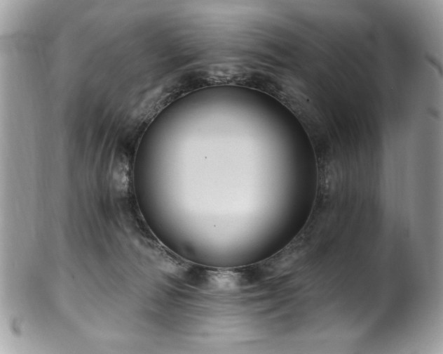 X0000102310226200807251447