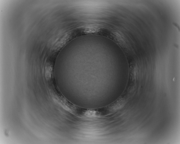 X0000102310227200807251447