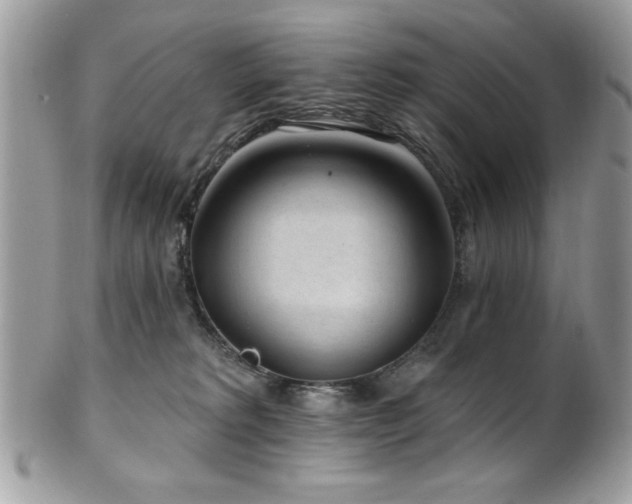 X0000102310229200807251447