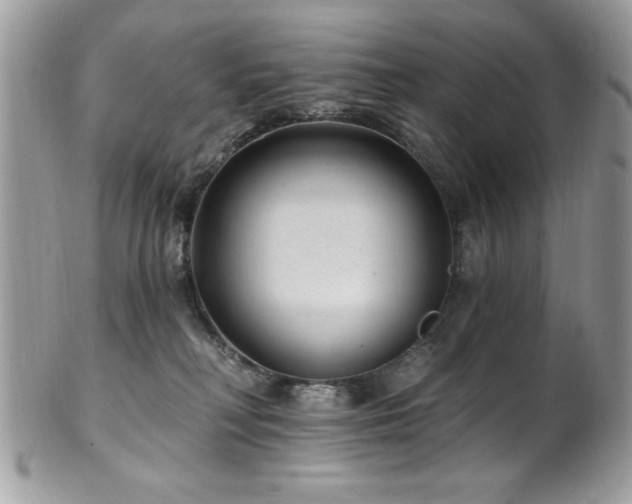 X0000102310230200807251447