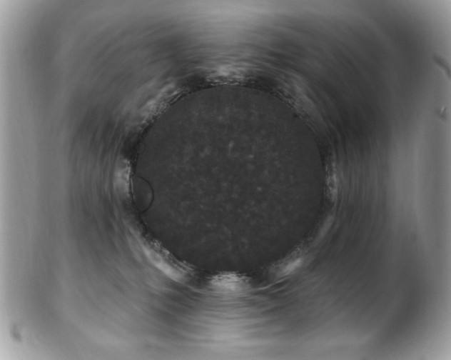 X0000102310231200807251447