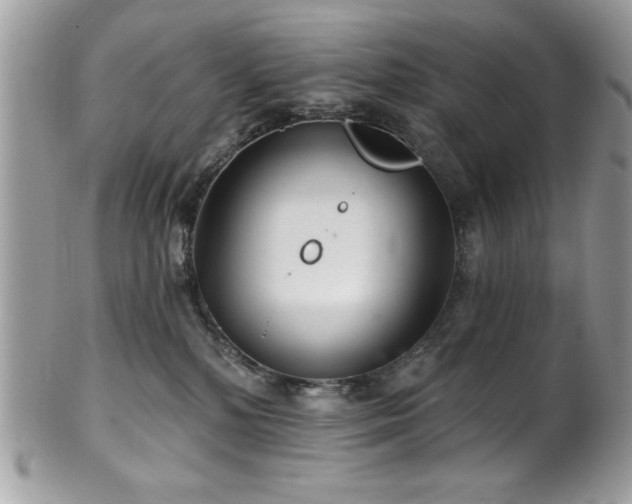 X0000102310232200807251447