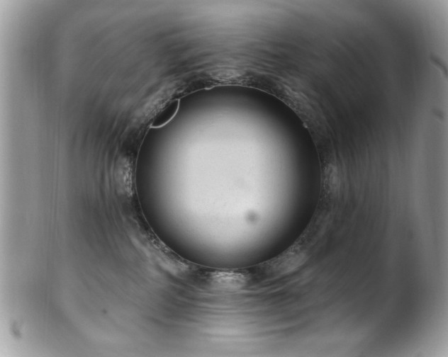 X0000102310234200807251447