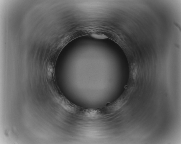 X0000102310235200807251447