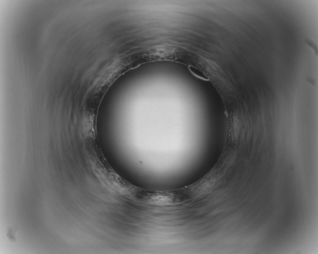 X0000102310236200807251447