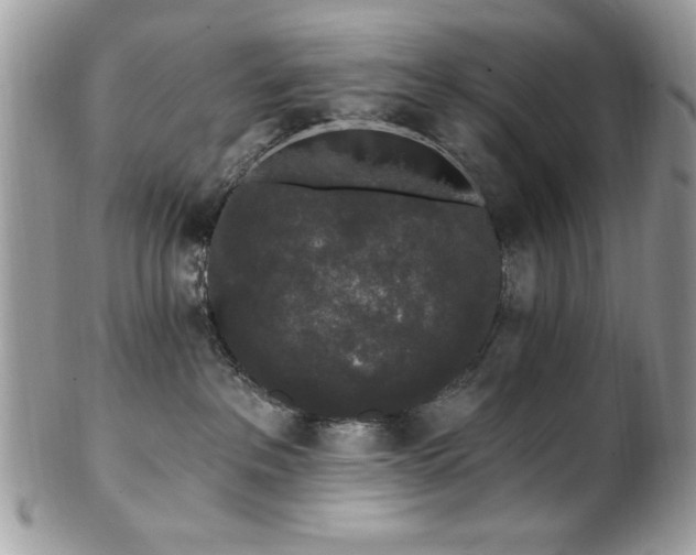 X0000102310237200807251447