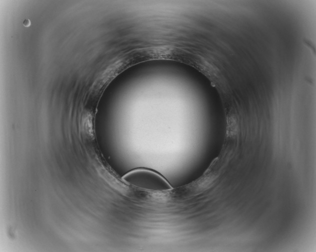 X0000102310238200807251447