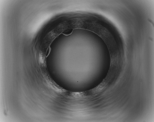 X0000102310239200807251447