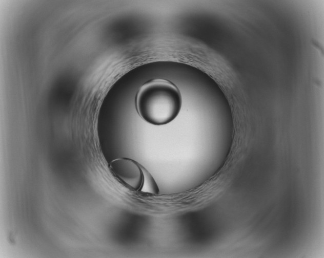 X0000102310240200807251447