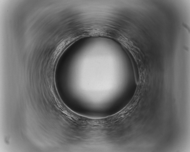 X0000102310241200807251446