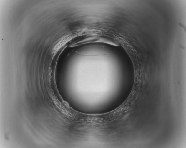 X0000102310242200807251446