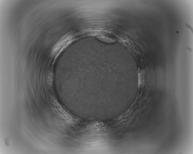 X0000102310243200807251446