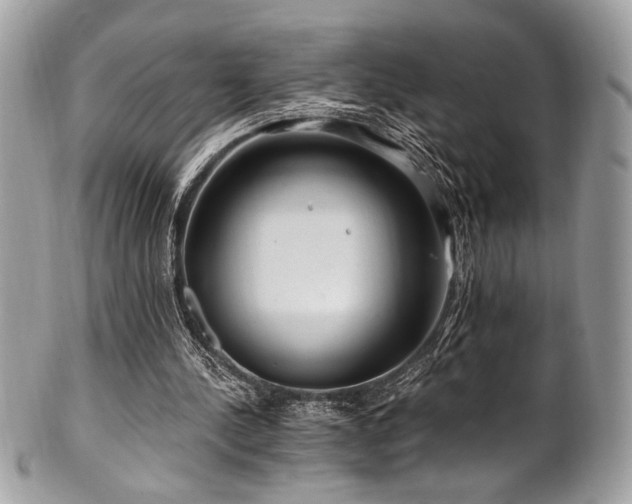 X0000102310244200807251446