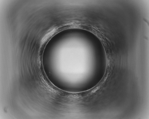 X0000102310245200807251446