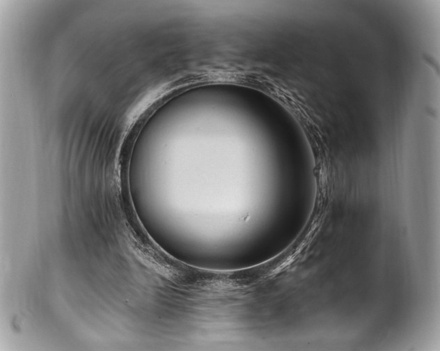 X0000102310246200807251446