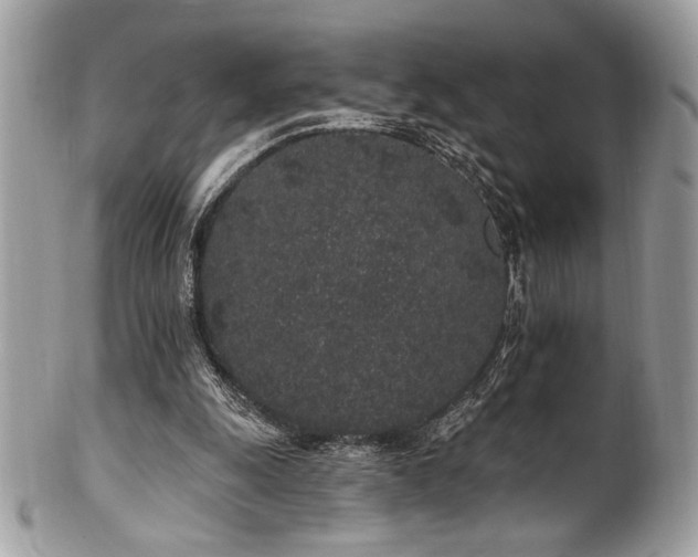 X0000102310247200807251446