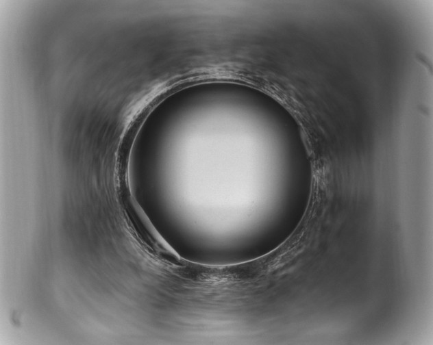 X0000102310248200807251446