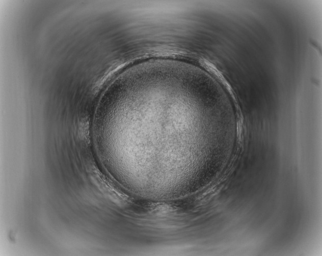 X0000102310249200807251446