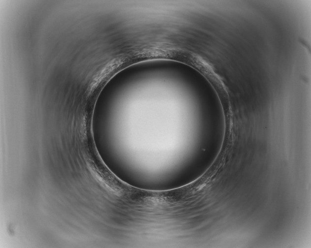 X0000102310250200807251446