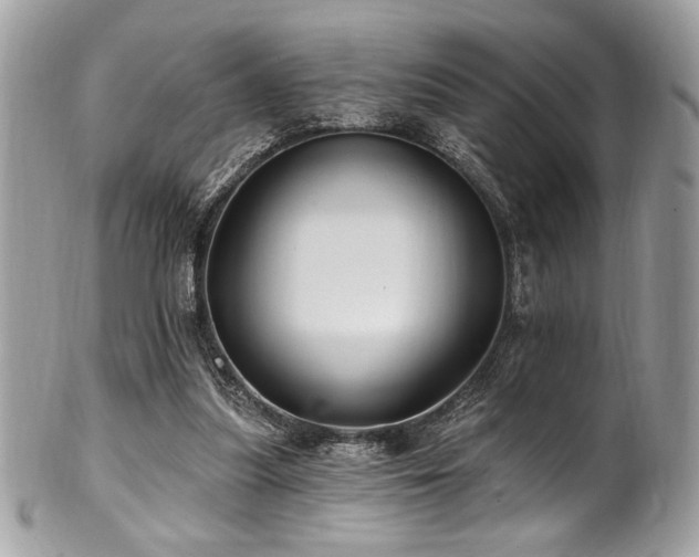 X0000102310251200807251446