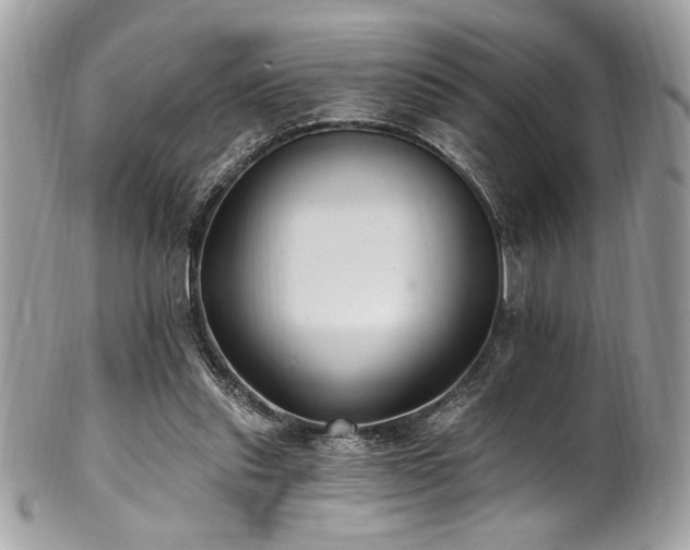 X0000102310253200807251446