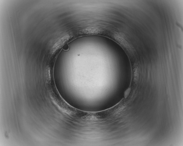 X0000102310254200807251446